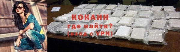 тгк Богородицк
