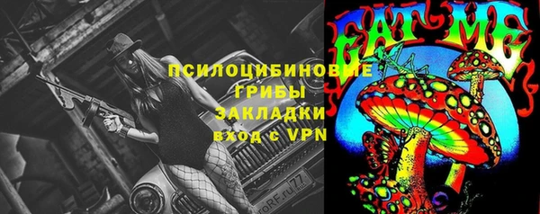 тгк Богородицк
