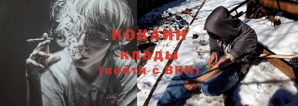 тгк Богородицк